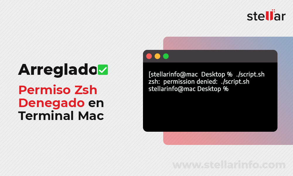 [Arreglado] Permiso Zsh Denegado en Terminal Mac